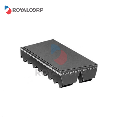 Raw Edge Cogged Banded Belts